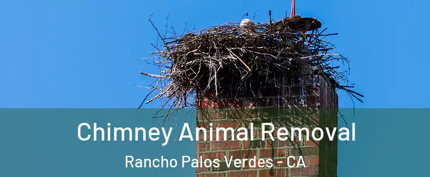Chimney Animal Removal Rancho Palos Verdes - CA
