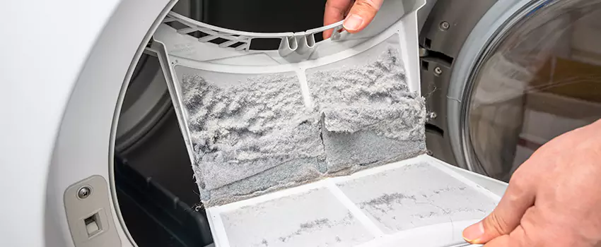 Best Dryer Lint Removal Company in Rancho Palos Verdes, California